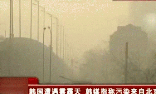 霧霾來襲韓國(guó)竟要北京賠償300萬(wàn)！分明是想出名搶錢，高潔雅在此表示霧霾來了趕緊去賣幾臺(tái)空氣凈化器，不要再此瞎咧咧。