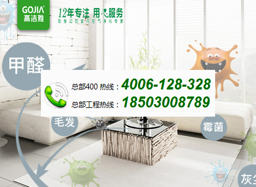 這個是去甲醛的最好辦法？.jpg